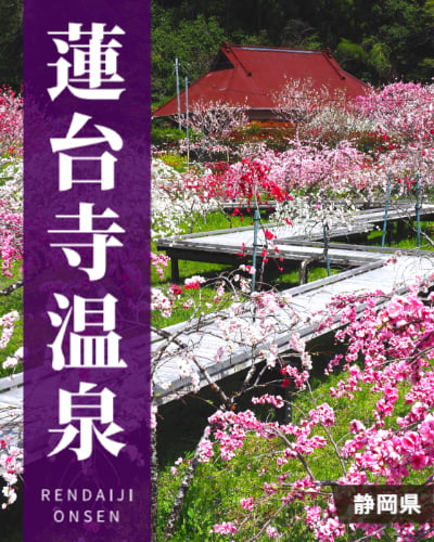 蓮台寺温泉の格付け・ランキング