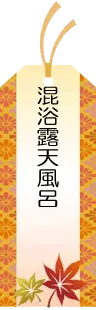 混浴露天風呂のある温泉宿