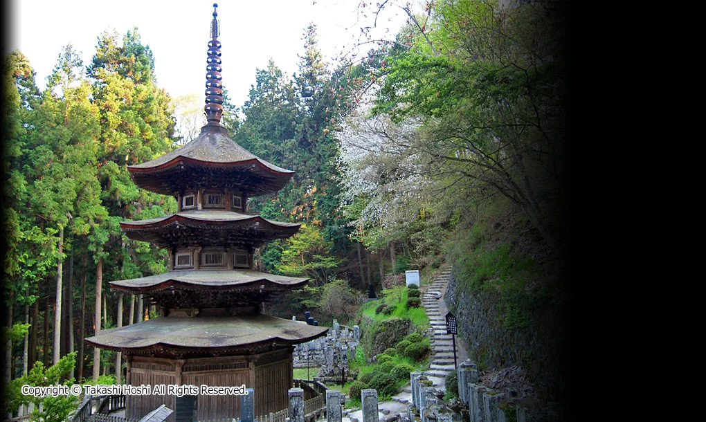 安楽寺