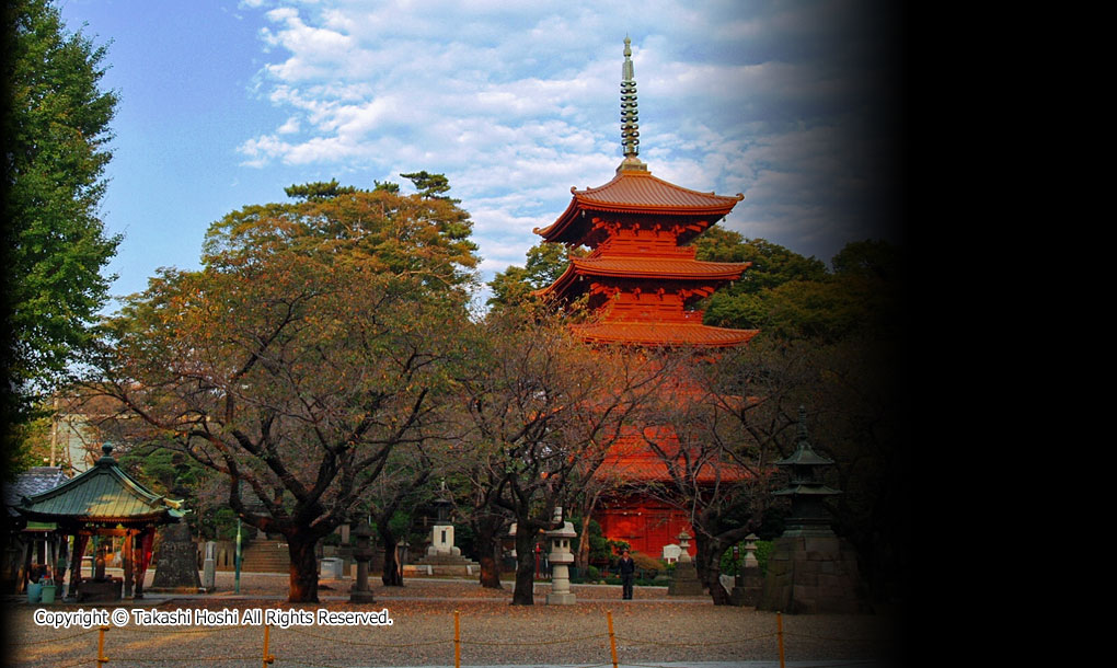 中山法華経寺