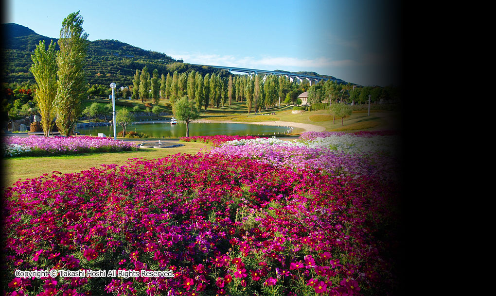 国営明石海峡公園