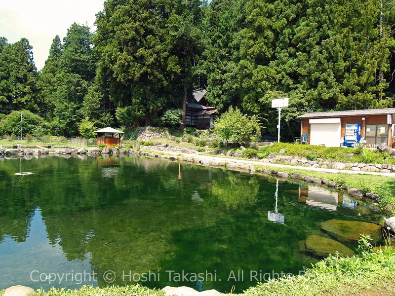 水面が緑に染まる大滝湧水公園