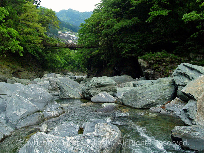 祖谷川の河原