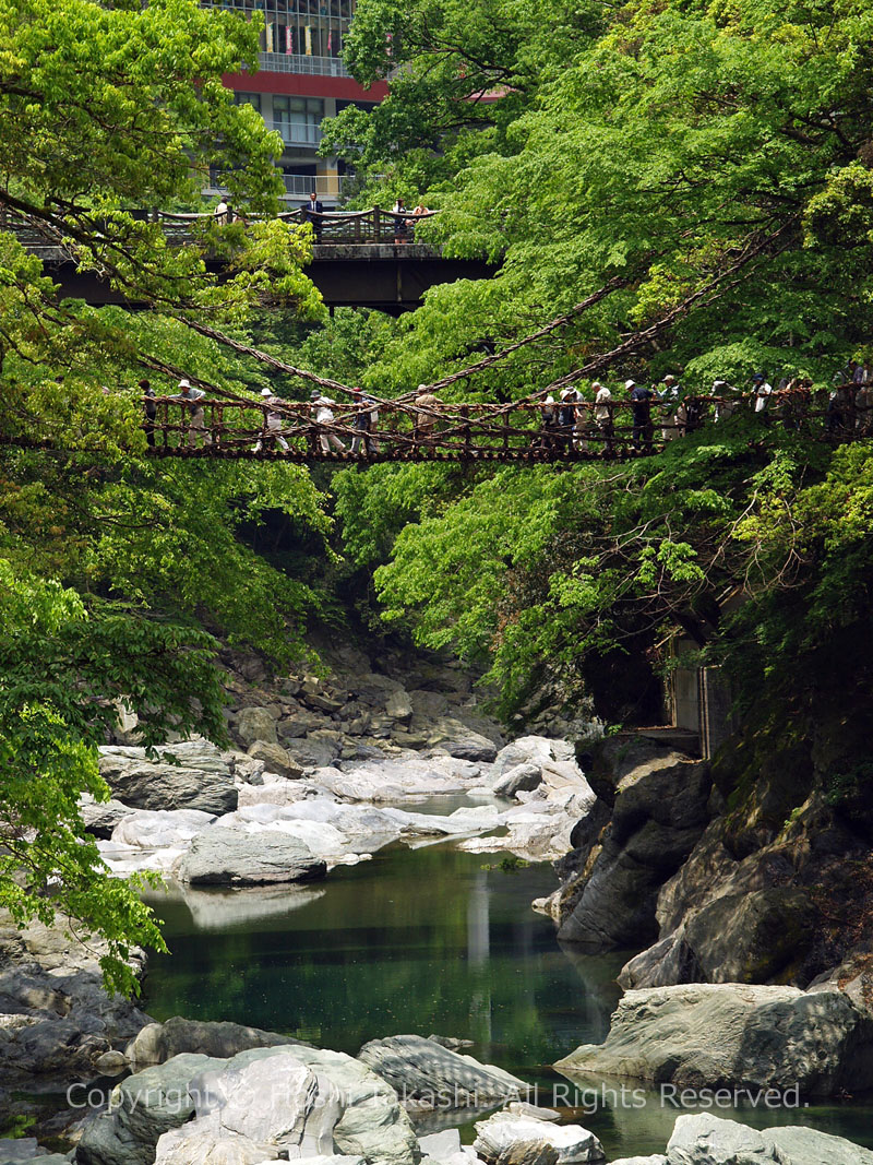 かずら橋・祖谷渓大橋・新祖谷渓大橋