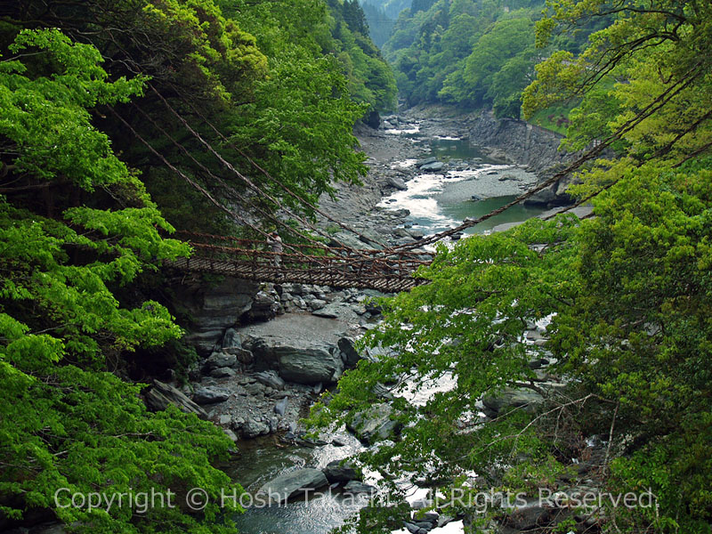 日本の原風景 かずら橋