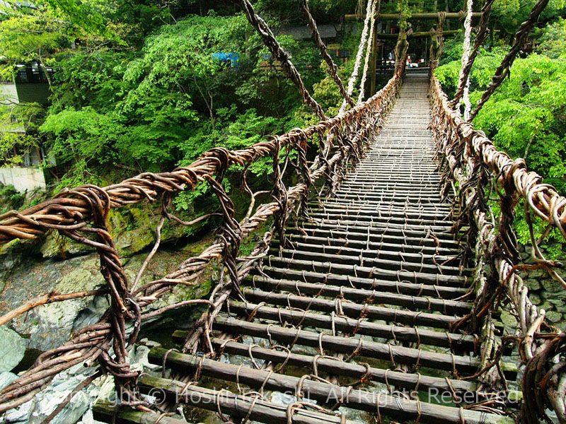 祖谷のかずら橋